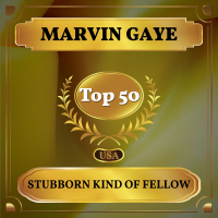 Stubborn Kind of Fellow (Billboard Hot 100 - No 46) (Single)