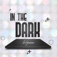 In The Dark (Single)