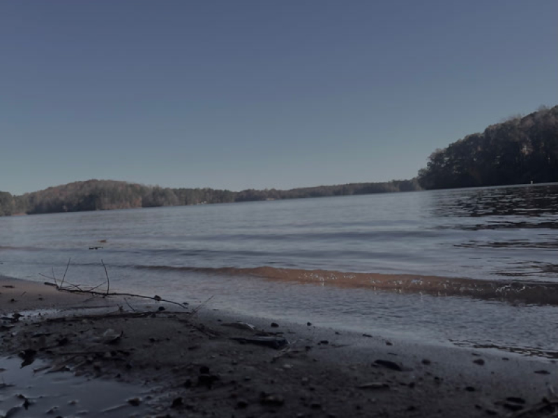 Heart of Gold (Single)