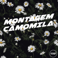 MONTAGEM CAMOMILA (Single)