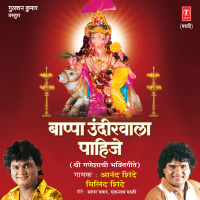 Bappa Undirwala Pahije