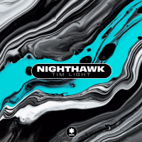 Nighthawk (Single)