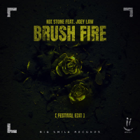 Brush Fire (Festival Remix Edit) (EP)