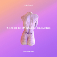 Trzeba było zostać dresiarą (Single)