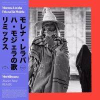 Meritlhoana (Xzavier Stone Remix) (Single)