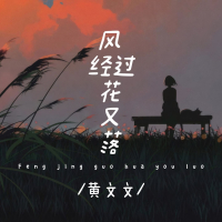 风经过花又落 (氛围版) (Single)