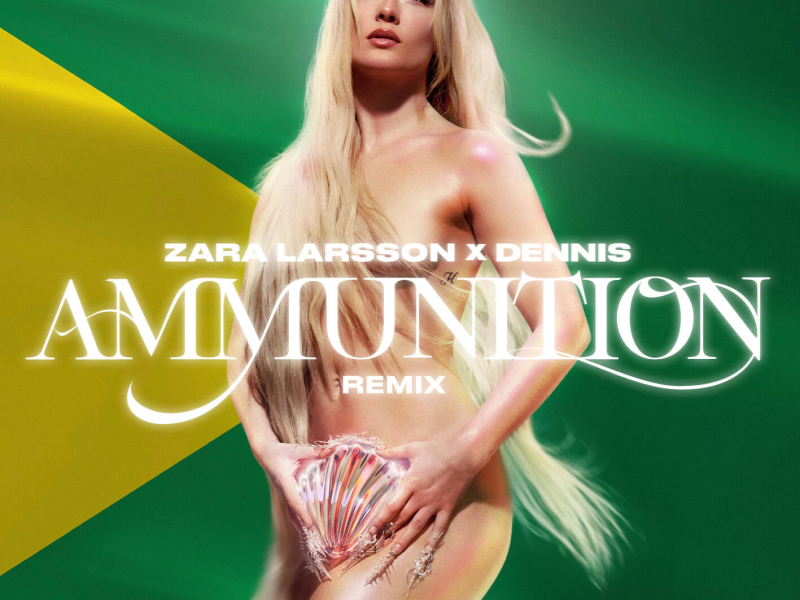 Ammunition (DENNIS Remix) (Single)