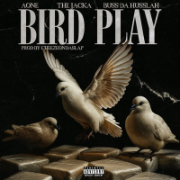 Bird Play (Single)