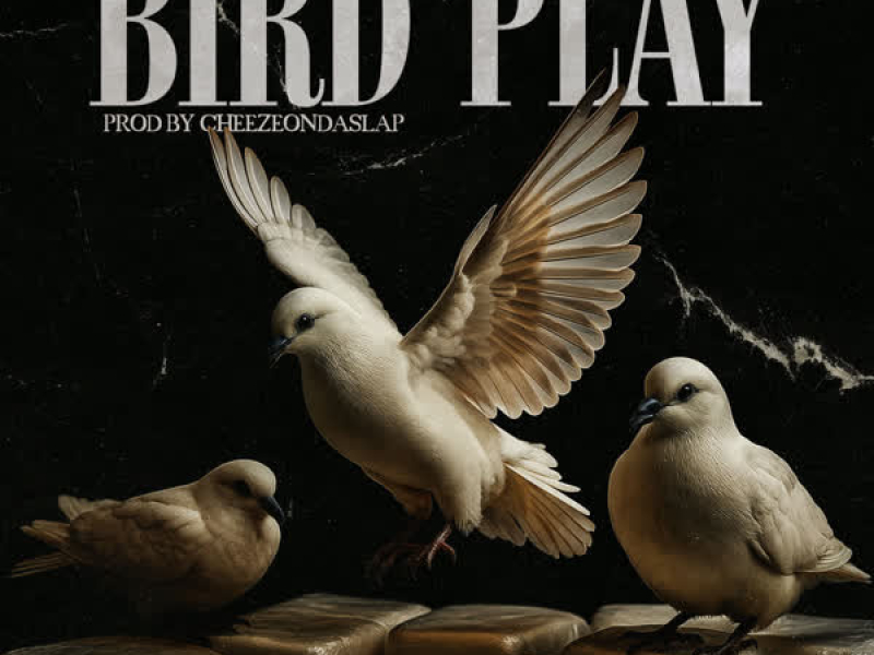 Bird Play (Single)