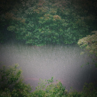 Peaceful Rain and Nature Sounds for Massage Therapy and Relaxation (Single)