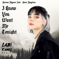 I Know You Want Me Tonight (Remix) (Single)