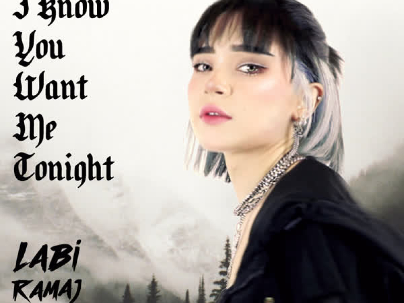 I Know You Want Me Tonight (Remix) (Single)