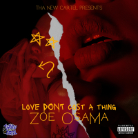 Love Dont Cost a Thing (Single)