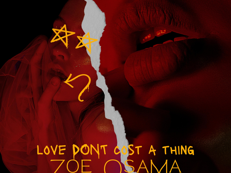 Love Dont Cost a Thing (Single)