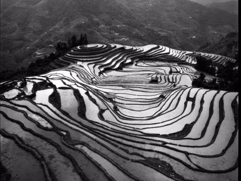 Tai Nạn Giao Thông Stop (Single)