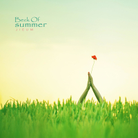 Beck Of Summer (Single)