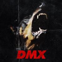 DMX (Single)