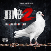 Birdies 2 (Single)