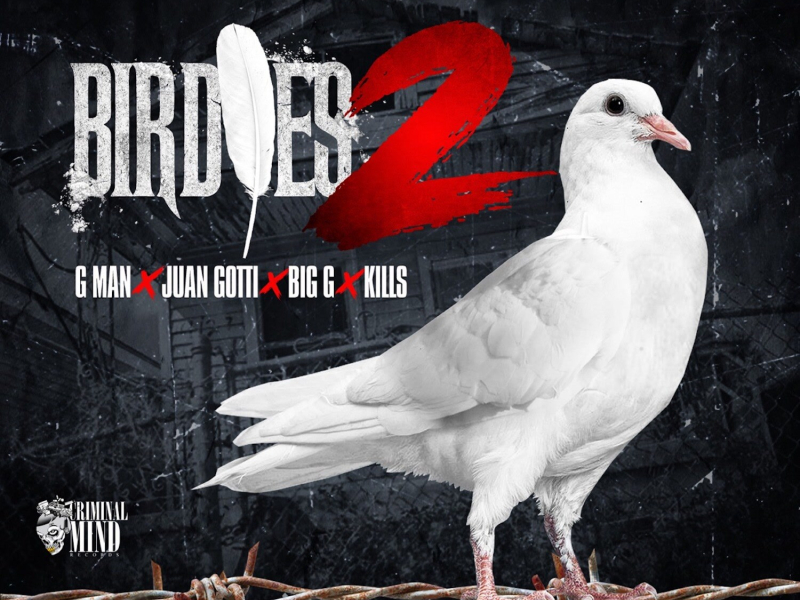 Birdies 2 (Single)