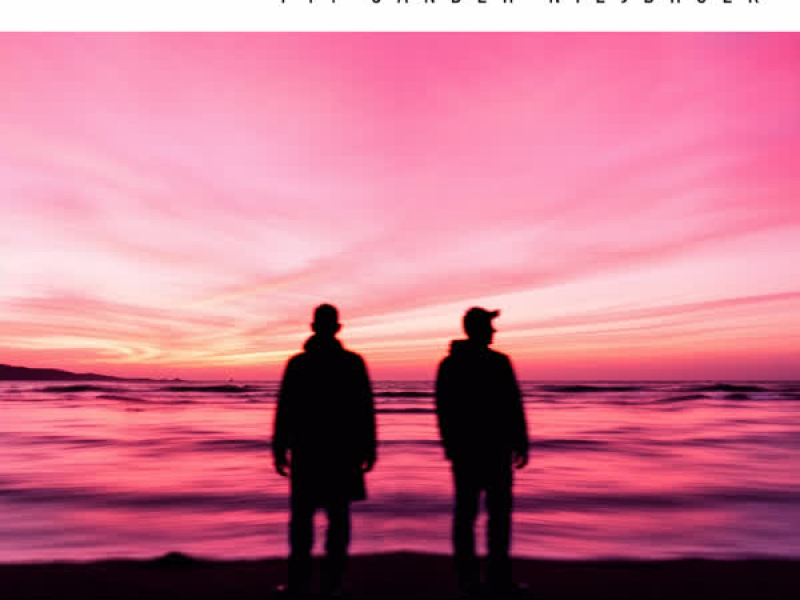 Nothin' I Wouldn't Do (Single)