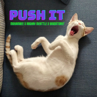 Push It (Single)
