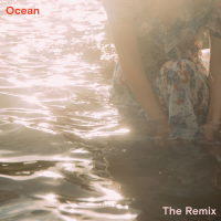 Ocean (Crystal Skies Remix) (Single)