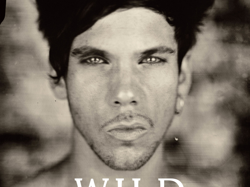 Wild (Radio Edit)