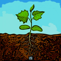 Plant Growth (Single)