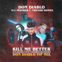 Kill Me Better (Don Diablo VIP Mix)
