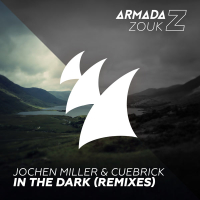 In The Dark (Remixes) (Single)