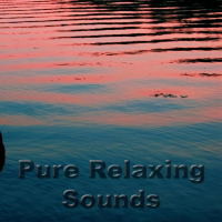 Pure Relaxing Sounds (Single)