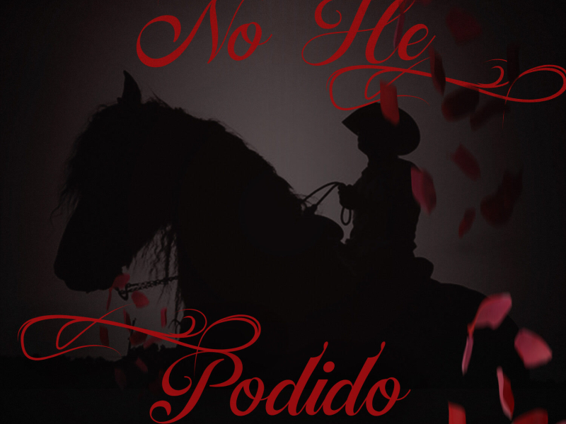 No He Podido (Single)