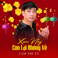 Xuân Này Con Lại Không Về (Single)