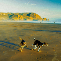 Shower (Single)