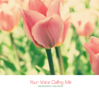 Your Voice Calling Me (Single)