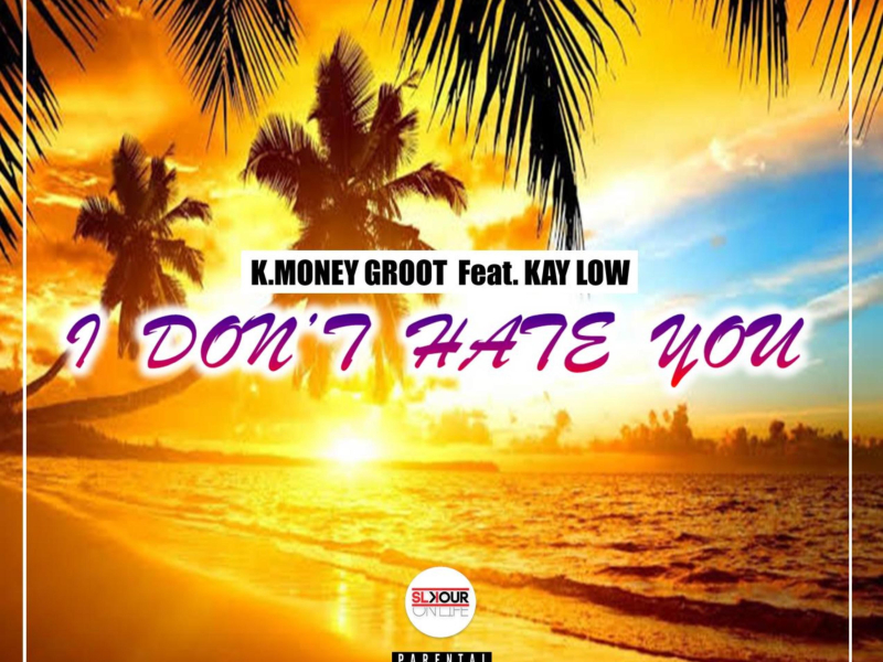 I Don't Hate You (feat. Kay Low) (Single)