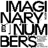 Imaginary Numbers (James Flower Re-Imagine) (Single)