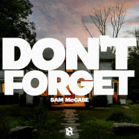 Don't Forget (Single)