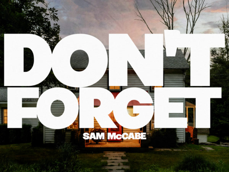 Don't Forget (Single)