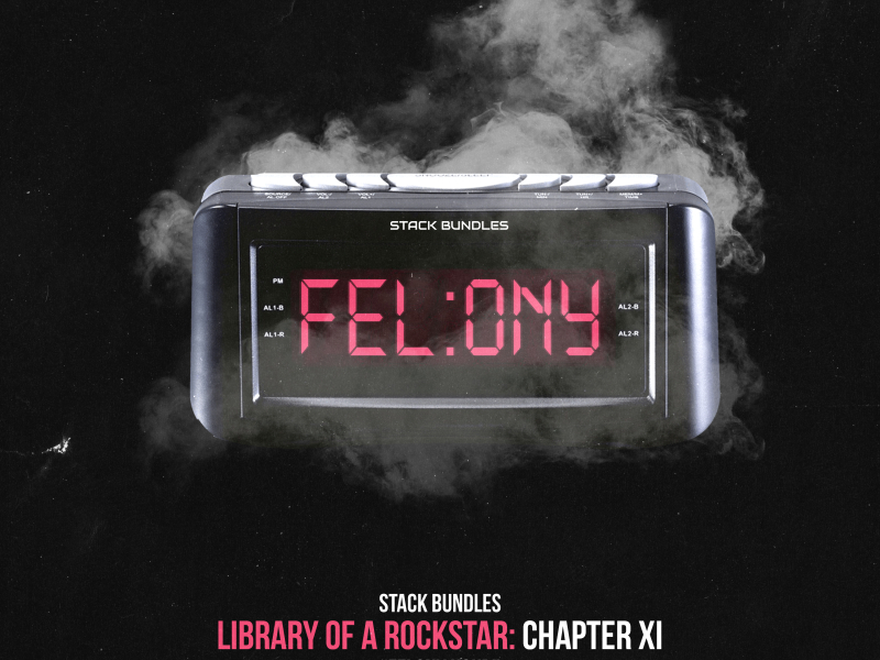 Library of a Rockstar: Chapter 11 - Felony Hour
