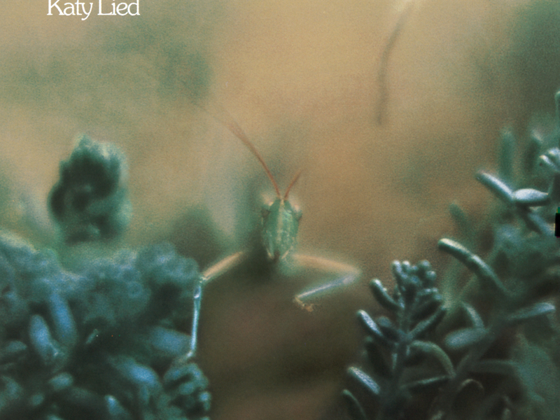 Katy Lied