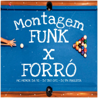 Montagem Funk x Forró (Single)