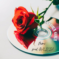 Ancora gira (Single)