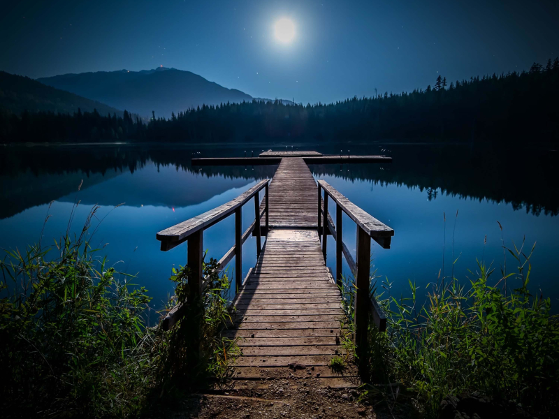 Peaceful Crickets Sounds with Summer Breeze for Deep Relaxation and Meditation (Single)