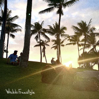 Waikiki freestyle (Single)
