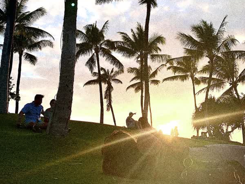 Waikiki freestyle (Single)