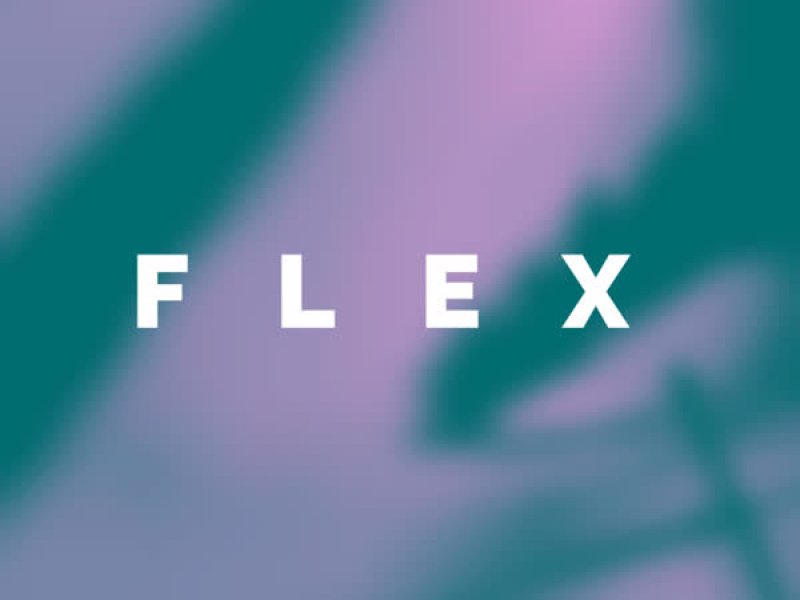 FLEX (Single)