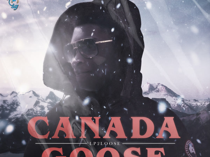 Canada Goose (Single)