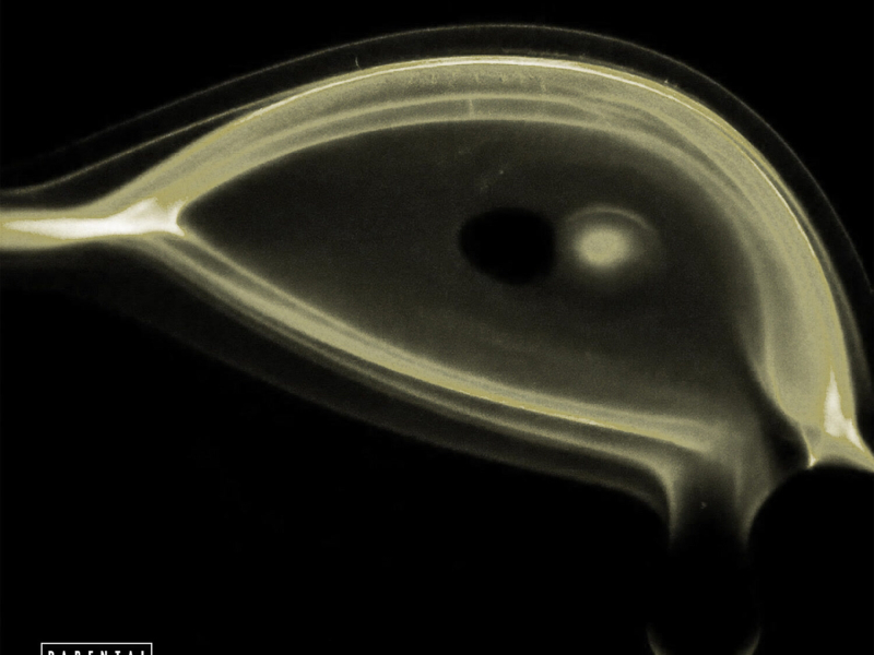 BOYS DON'T CRY (Single)