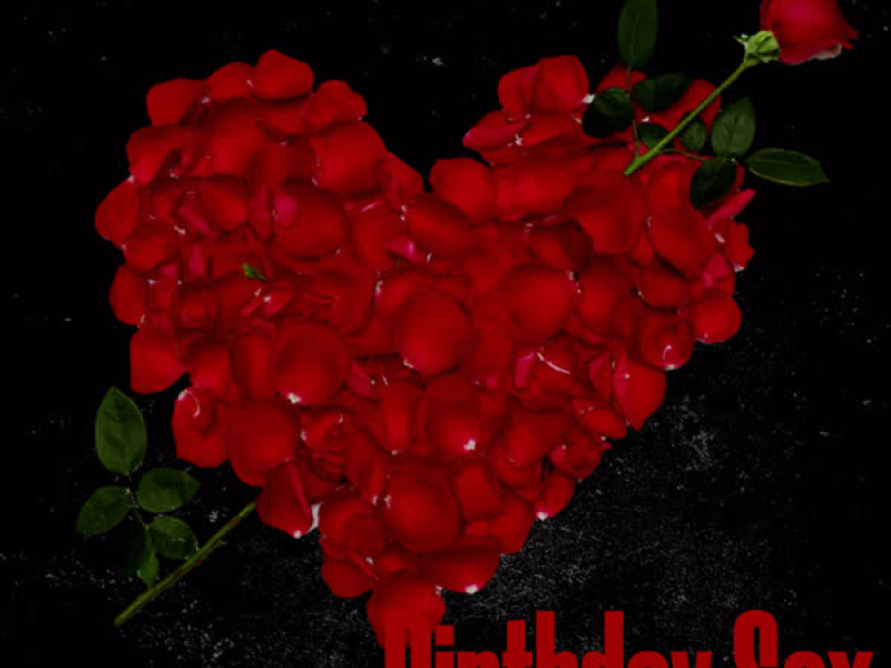 Birthday Sex (Single)